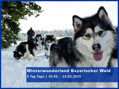 Winterwunderland Bayerischer Wald